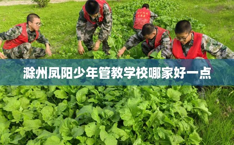 滁州凤阳少年管教学校哪家好一点