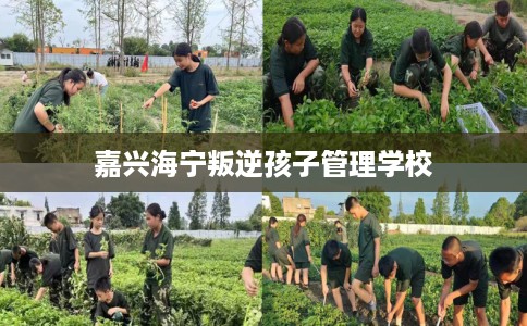 嘉兴海宁叛逆孩子管理学校