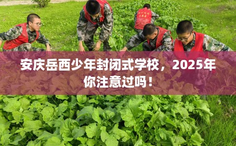 安庆岳西少年封闭式学校，2025年你注意过吗！