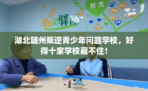 湖北随州叛逆青少年问题学校，好得十家学校藏不住！
