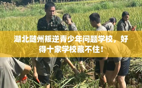 湖北随州叛逆青少年问题学校，好得十家学校藏不住！