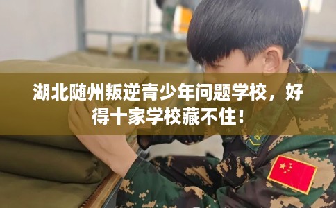 湖北随州叛逆青少年问题学校，好得十家学校藏不住！