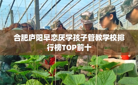 合肥庐阳早恋厌学孩子管教学校排行榜TOP前十