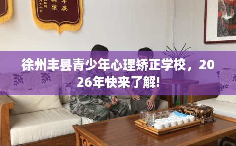 徐州丰县青少年心理矫正学校，2026年快来了解!