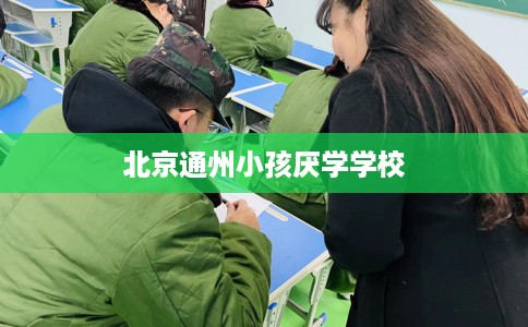 北京通州小孩厌学学校