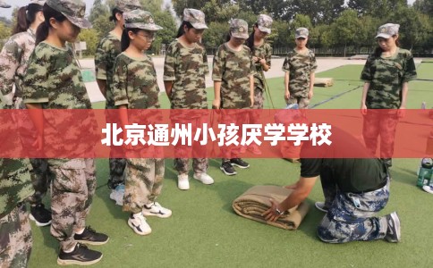 北京通州小孩厌学学校