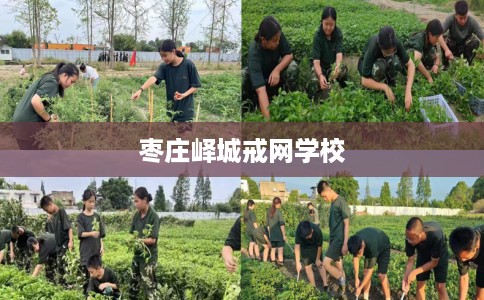 枣庄峄城戒网学校