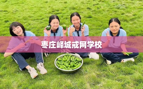 枣庄峄城戒网学校