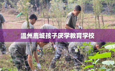 温州鹿城孩子厌学教育学校