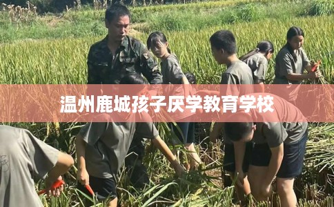 温州鹿城孩子厌学教育学校