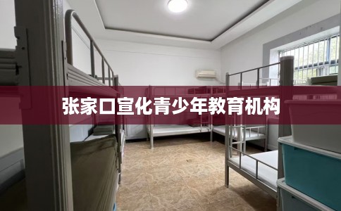 张家口宣化青少年教育机构