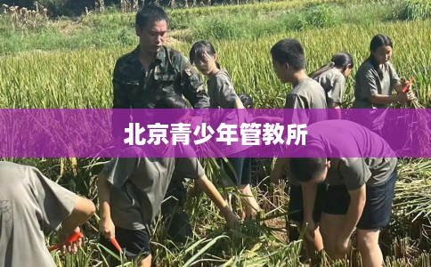 北京青少年管教所