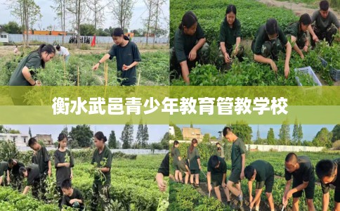 衡水武邑青少年教育管教学校