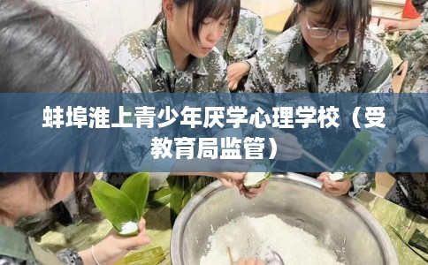 蚌埠淮上青少年厌学心理学校（受教育局监管）