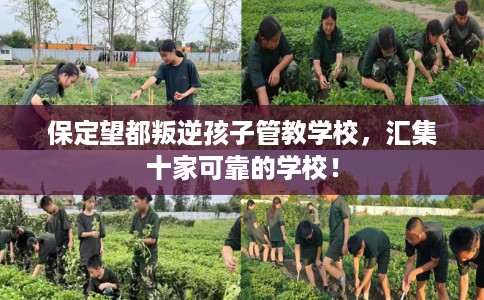 保定望都叛逆孩子管教学校，汇集十家可靠的学校！