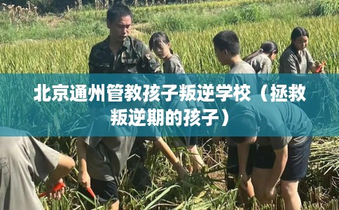 北京通州管教孩子叛逆学校（拯救叛逆期的孩子）