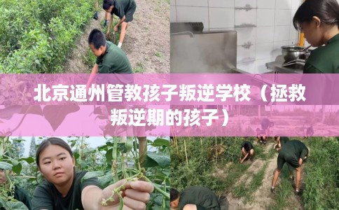 北京通州管教孩子叛逆学校（拯救叛逆期的孩子）