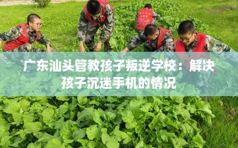 广东汕头管教孩子叛逆学校：解决孩子沉迷手机的情况
