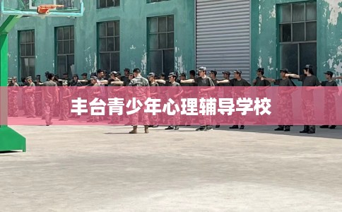丰台青少年心理辅导学校