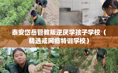 泰安岱岳管教叛逆厌学孩子学校（精选戒网瘾特训学校）