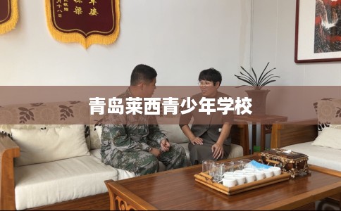 青岛莱西青少年学校