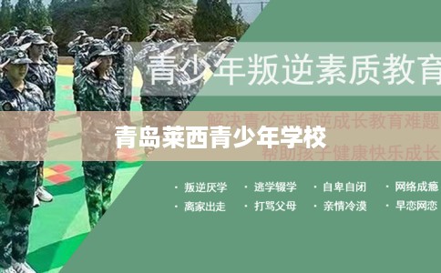 青岛莱西青少年学校