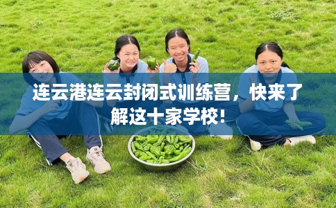 连云港连云封闭式训练营，快来了解这十家学校!