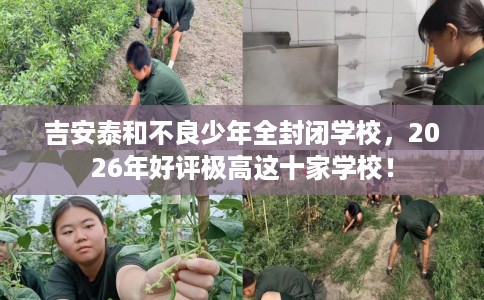 吉安泰和不良少年全封闭学校，2026年好评极高这十家学校！