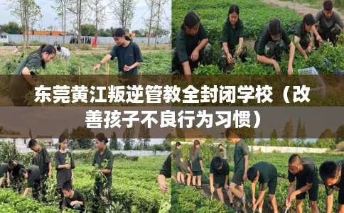 东莞黄江叛逆管教全封闭学校（改善孩子不良行为习惯）