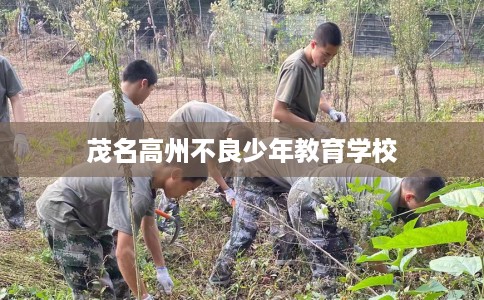 茂名高州不良少年教育学校 茂名高州不良少年教育学校
