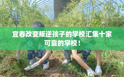 宜春改变叛逆孩子的学校汇集十家可靠的学校！