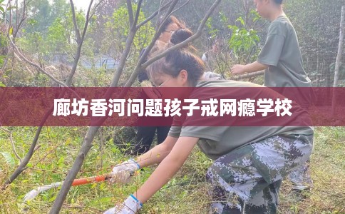 廊坊香河问题孩子戒网瘾学校