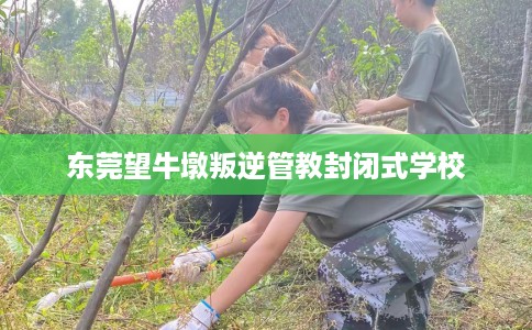 东莞望牛墩叛逆管教封闭式学校