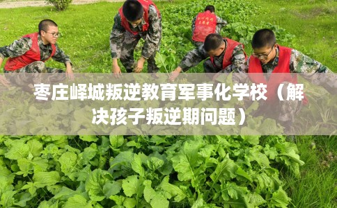枣庄峄城叛逆教育军事化学校（解决孩子叛逆期问题）