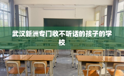 武汉新洲专门收不听话的孩子的学校