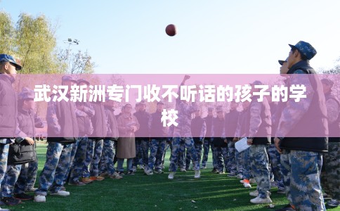 武汉新洲专门收不听话的孩子的学校