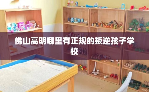 佛山高明哪里有正规的叛逆孩子学校
