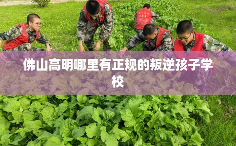 佛山高明哪里有正规的叛逆孩子学校
