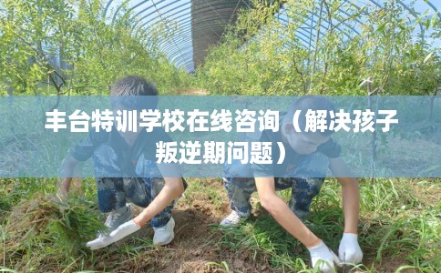 丰台特训学校在线咨询（解决孩子叛逆期问题）
