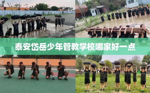 泰安岱岳少年管教学校哪家好一点