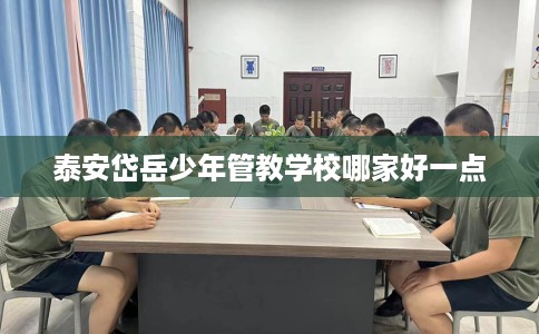 泰安岱岳少年管教学校哪家好一点