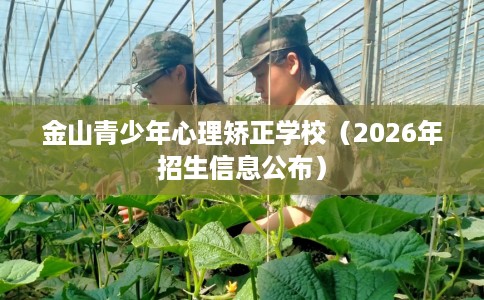 金山青少年心理矫正学校（2026年招生信息公布）