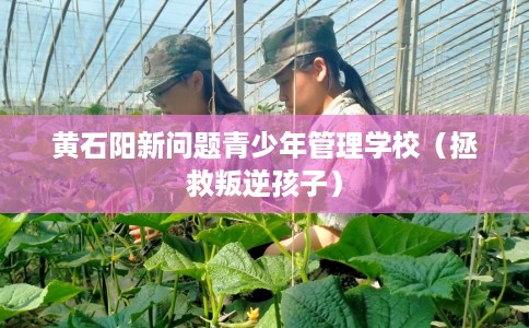 黄石阳新问题青少年管理学校（拯救叛逆孩子）