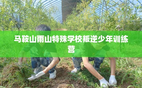 马鞍山雨山特殊学校叛逆少年训练营