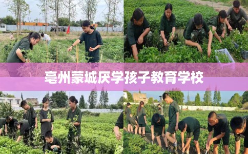 亳州蒙城厌学孩子教育学校