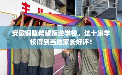 安徽铜陵希望叛逆学校，这十家学校得到当地家长好评！