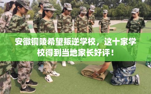 安徽铜陵希望叛逆学校，这十家学校得到当地家长好评！