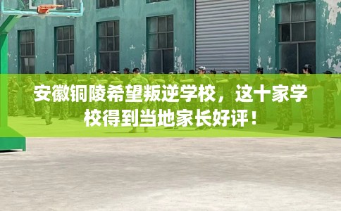 安徽铜陵希望叛逆学校，这十家学校得到当地家长好评！