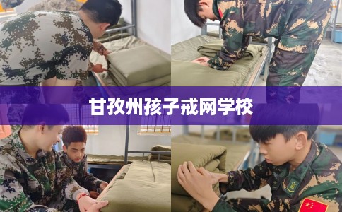 甘孜州孩子戒网学校