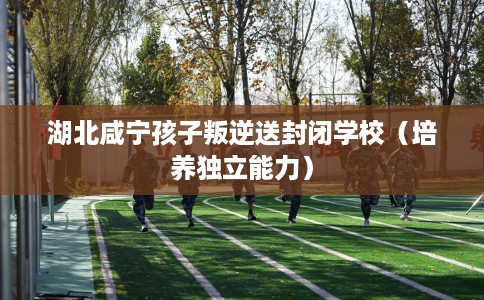 湖北咸宁孩子叛逆送封闭学校（培养独立能力）